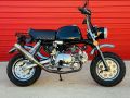 Picture of TONELLI / SKYTEAM 125cc 2013 ADR COMPLIANT ROAD REGISTERABLE