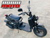 Picture of HONDA ZOOMER/ RUCKUS JDM SCOOTER 2006 BLACK